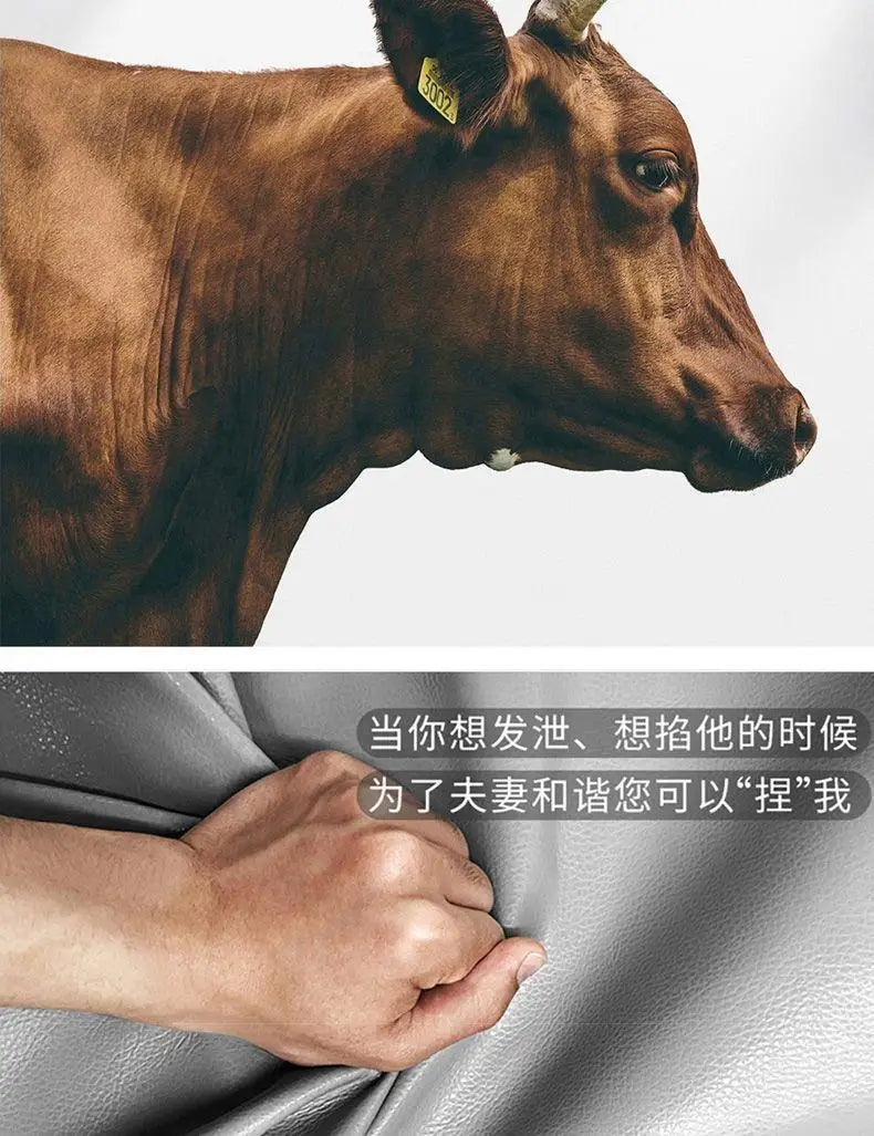 Łóżko Tatami z Projektorem 150/180x200cm - Elektryczne Smart Bed Space Capsule