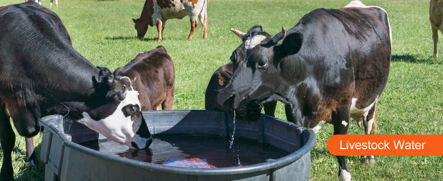 Pompa Głębinowa SucceBuy 370W/550W/750W/1100W - Stal Nierdzewna Deep Well Submersible